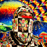 Alien Floral: Balaclava Face Mask (Checker)